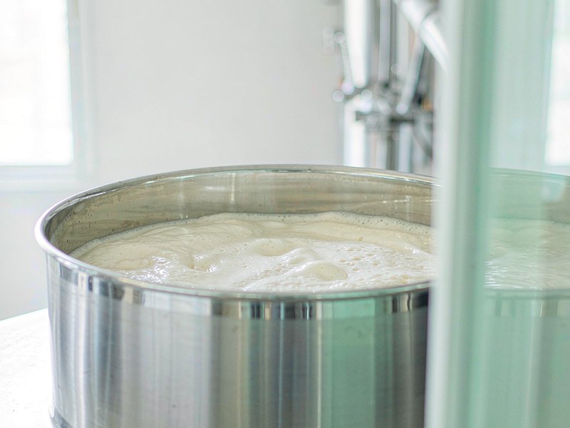 Yeast Products & Yeast-Derived Nutrition